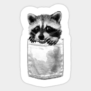 Raccoon Pocket Sticker